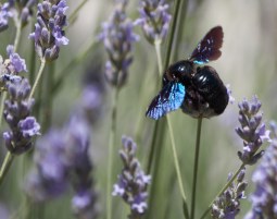 Fotokurs Berlin - Im Fotoworkshop richtig fotografieren lernen