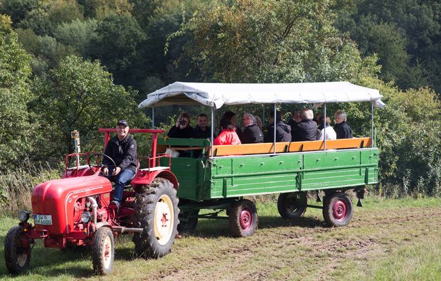 weinbergsrundfahrt-zeilitzheim-rundfahrt