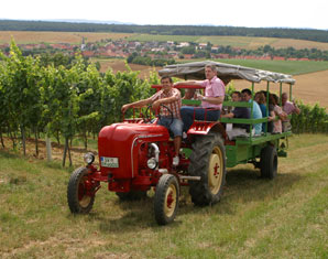 Weinbergsrundfahrt Zeilitzheim Eine Weinprobe ist ein wahres Fest für Weinliebhaber