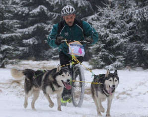 Dogscooter