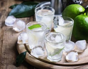 Gin-Tasting (Die 6 Säulen der Ginwelt) von 6 Sorten Gin  & Tonic Water