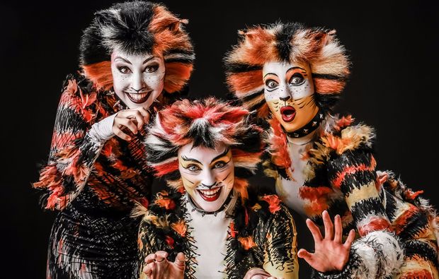 musical-dinner-stralsund-cats