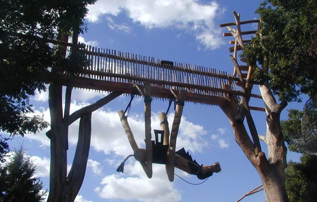 freizeitpark-neisseaue-kamel