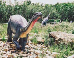 Au�ergew�hnlich �bernachten