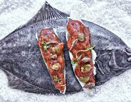 Fisch-Kochkurs Nürnberg - Frischen Fisch auf den Tisch!