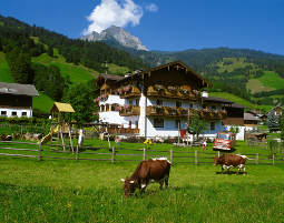 Schlemmen und Träumen für Zwei - Dorfgastein Unterbergerwirt - 4-Gänge-Menü