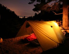 Survival Training
