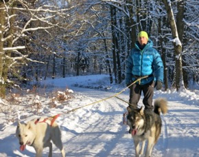 Husky-Trekking