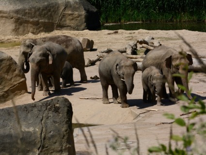 Fotokurs Durch Den Kolner Zoo Als Geschenk Mydays