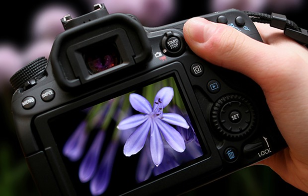 fotokurs-online-seminar-bg1