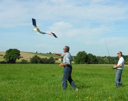 fliegen-modell-flug