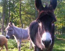 Familienurlaub