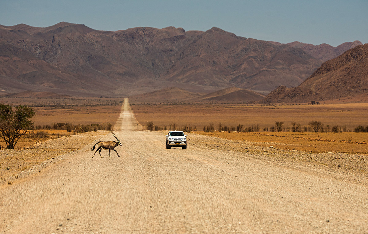 erlebnisreisen-namibia-bg3