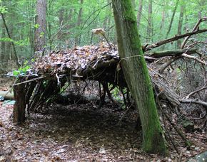 Survival Training