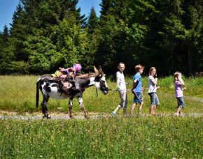 Eseltrekking