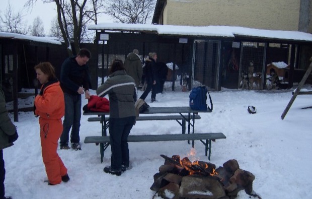 schlittenhunde-workshop-markt-bibart-feuerstelle