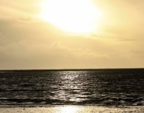 Fotokurs Dortmund - Im Fotoworkshop richtig fotografieren lernen