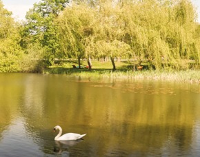 Au�ergew�hnlich �bernachten