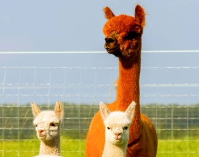 Au�ergew�hnlich �bernachten