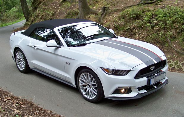 ford-mustang-fahren-karlsruhe-seitenansicht