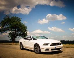 Mustang GT Cabrio fahren - 1 Tag (Fr.-So.) Ford Mustang GT Cabrio - 1 Tag (Fr - So)