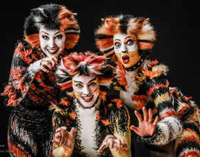 Musical Dinner - 65 Euro, 4-Gänge-Menü - Eventsaal TuS Fichte Lintfort - Kamp-Lintfort Eventsaal TuS Fichte Lintfort - 4-Gänge-Menü