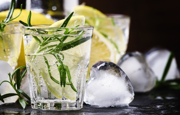 gin-tasting-koblenz-bg1
