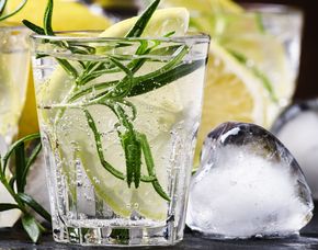 Gin Tasting Koblenz Whisky Tasting – Schenke die edle Welt der Brände