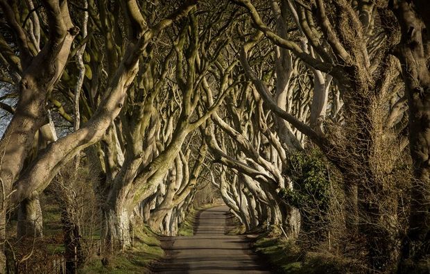 erlebnisreisen-dublin-thrones-reise