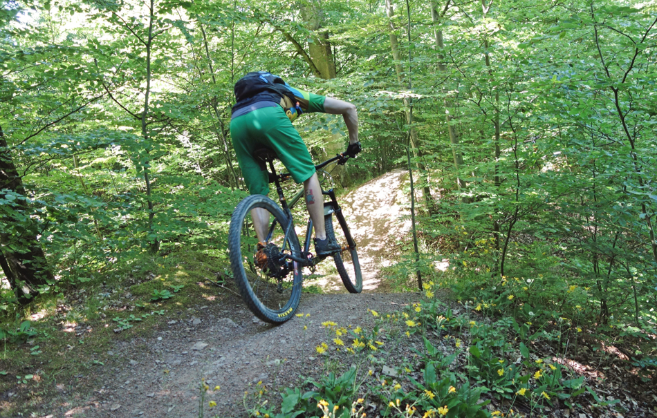 mountainbike-grundkurs-basic-advanced-brackenheim-duerrezimmer-bg3