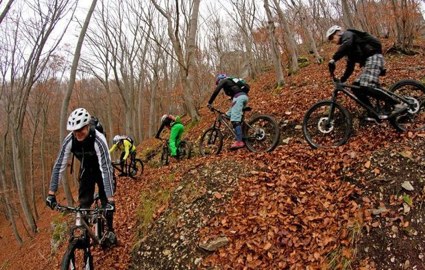 mountainbike-tour-bad-ueberkingen-wald