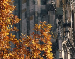 Fotokurs Ulm Fotokurs Ulm