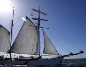 Segeltrns