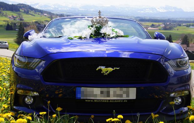 ford-mustang-fahren-hagen-krone