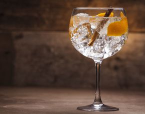 Gin-Tasting - Alte Flora - Essen von 10 Sorten Gin & Tonic Water