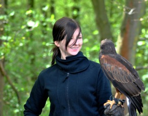 Falkner fr einen Tag