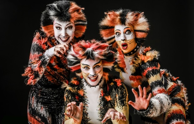 musical-dinner-ballenstedt-cats