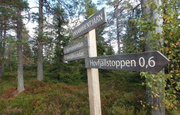 aktivurlaub-an-land-torsby-vaermland