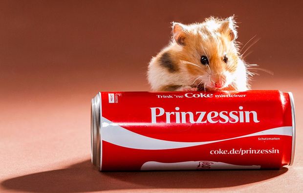 animalisches-fotoshooting-neubiberg-prinzessin