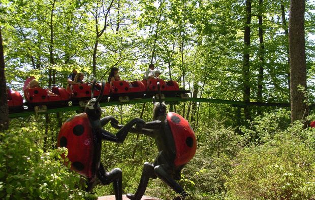 freizeitpark-sonnenbuehl-marienkaefer