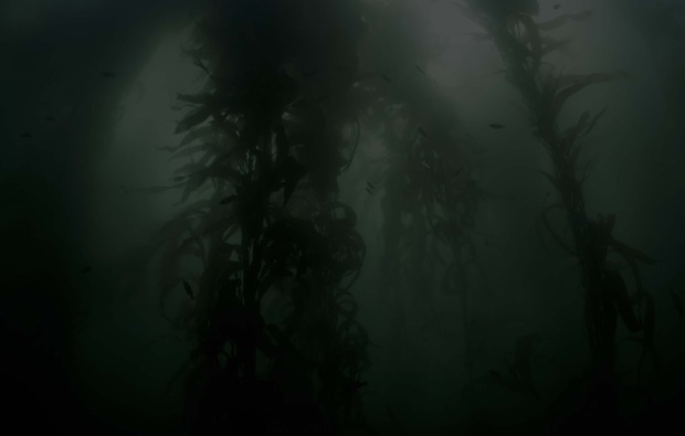 tauch-abenteuer-friedberger-baggersee-augsburg-unterwasser
