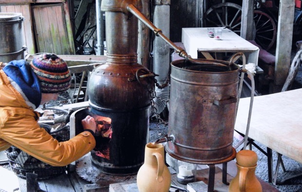 gin-selber-machen-schluechtern-bg2