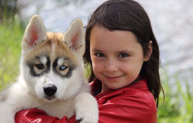 animalisches-fotoshooting-dietfurt-hunde