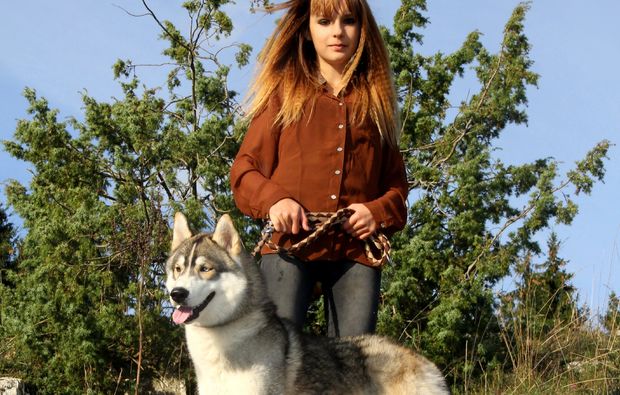 animalisches-fotoshooting-dietfurt-husky