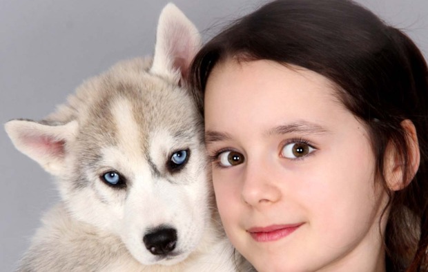 tier-fotoshooting-dietfurt-babyhuskie