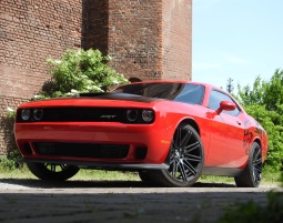 Muscle Cars