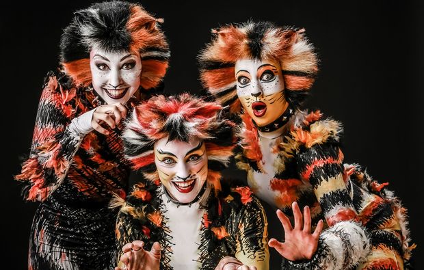 musical-dinner-groeningen-bg3