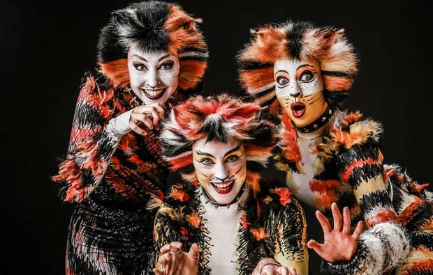 musical-dinner-callenberg-cats