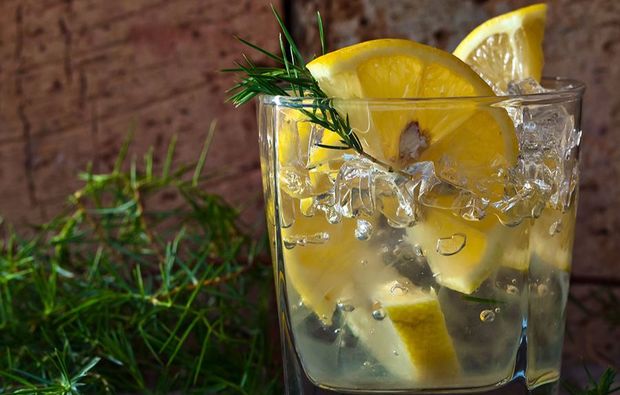 gin-tasting-stuttgart-genuss