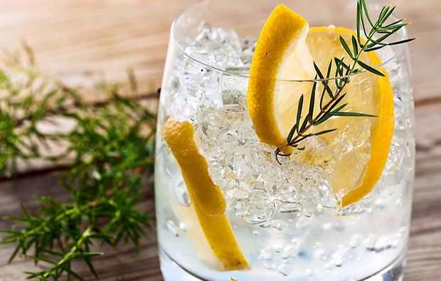 gin-tasting-stuttgart-limette